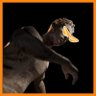 Jōsh🧡🍊 profil fotoğrafı