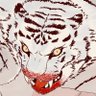 虎之道's profile picture