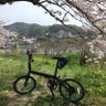 rain🚴の季節's profile picture