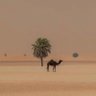 Фото профиля محبة مكه