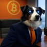 ⚡️⚡️🐶Bitcoin Dog profil fotoğrafı