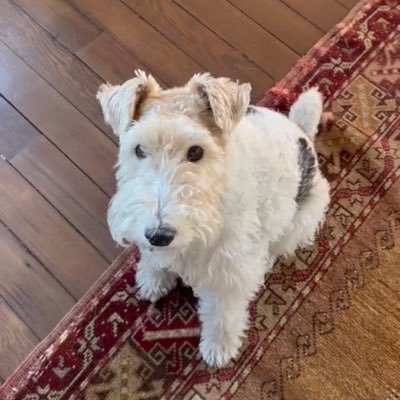 Char ✨️'s profile picture