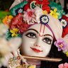 Фото профиля Satyendra Kumar
