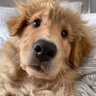 Marianne's profile picture