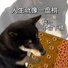Kevin Liiert 𝕏 的头像