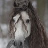 غــ☁️🐎 的头像