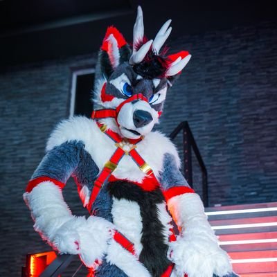 Kosa's profile picture