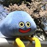 Profilbild von C