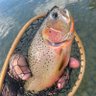 Profilbild von fishing guy