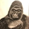 Profilbild von 廃人亭チャン・ゴリ