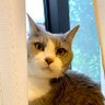 monolith△ 🐾 🐾 的头像