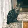 ラブリーちったく's profile picture