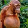 Profilbild von Kyle Allen