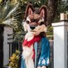 ~閒狼的世界~ @UTFG's profile picture