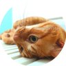 🐾マコロン🐾's profile picture