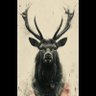 Фото профиля Mr Dear