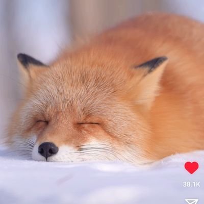 🍁นฟฟ's profile picture