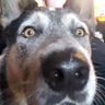 Alaska born's profile picture