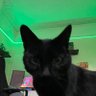 Code profil fotoğrafı