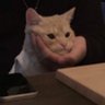 vince-sup's profile picture