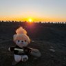 ぬーぴー🦁☀️ 的头像