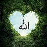 Profilbild von Amir Khazali أمير