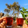 Romana🍁 profil fotoğrafı