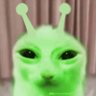 kevin :3 的头像