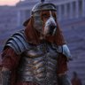 Profilbild von Bassetus Maximus.