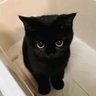 taku's profile picture