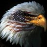 S E Schneweis's profile picture