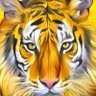 「E」's profile picture