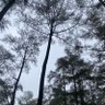 FWB MAKASSAR 的头像