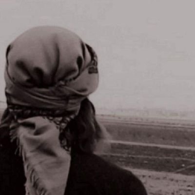 HEDAYAT_HIKMAT's profile picture