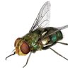 friendworld's profile picture
