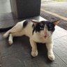 Фото профиля MHS94 🐈🐈⬛