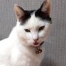Profilbild von ちぃまぁまむ