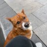 社会废物's profile picture