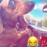 neeb profil fotoğrafı