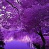 Profilbild von Yassin