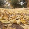 Toor profil fotoğrafı
