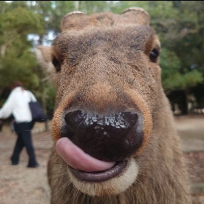 tay is patience's profile picture