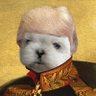 Profilbild von DogEmperor