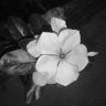 Фото профиля Omorinsola