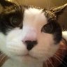 Profilbild von ふぁふぁ