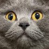 うちの家のつむぎ。's profile picture