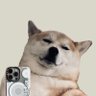 Bot4TenWin's profile picture