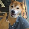NotRichyRichfella5's profile picture