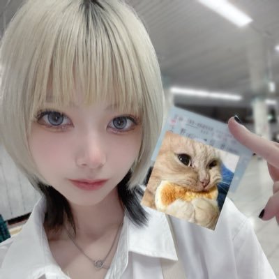 dechau_bkg's profile picture