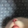 11's profile picture